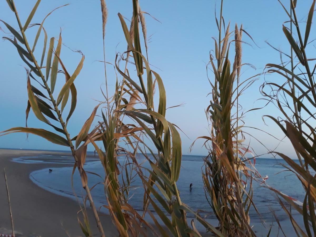 איאמונטה Rincon Canela מראה חיצוני תמונה
